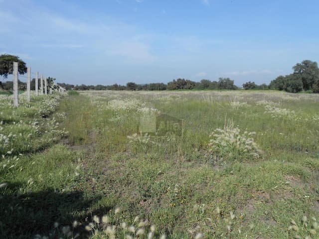 Terreno en Venta en Col. Huitzila, Municipio de Tizayuca, Hidalgo.