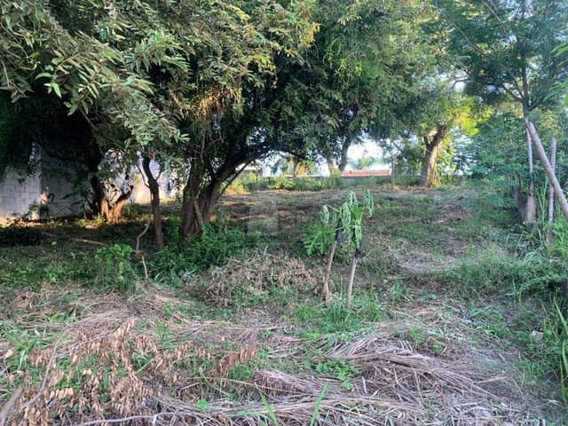 Terreno habitacional en venta en Lomas de Rosales, Tampico, Tamaulipas