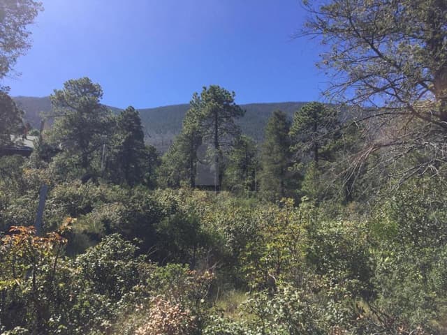 Terreno campestre en venta en Los Lirios Sierra de Arteaga Coahuila Cabañas