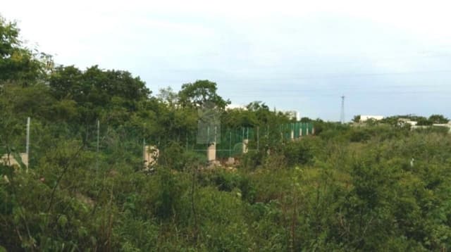 Terreno en Venta Temozón Norte Mérida Yucatán ideal para desarrollos
