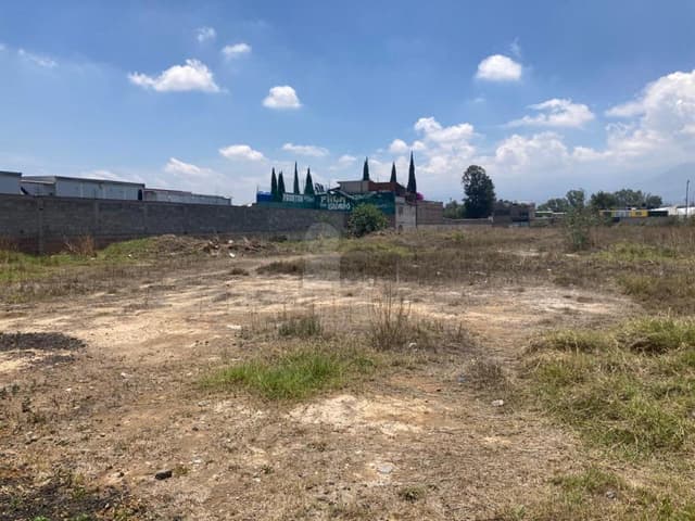 Terreno comercial en renta en Montecillo, Texcoco, México