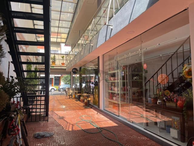 EDIFICIO EN VENTA EN SANTA MARIA DE LA RIVERA, CIUDAD DE MEXICO