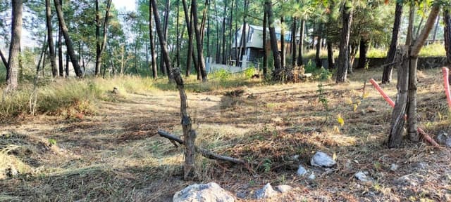 Terreno habitacional en venta en Tirio, Michoacán