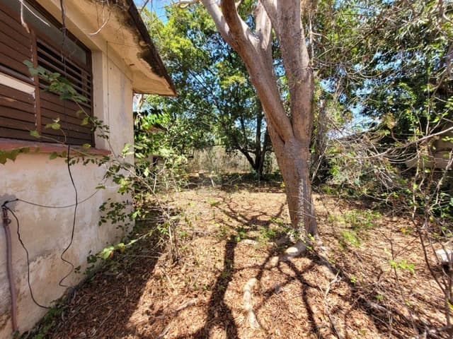 Terreno en Venta en esquina en Buenavista, Circuito Colonias, Mérida, Yucatán