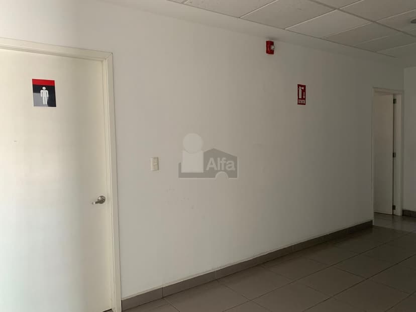 Gallery main