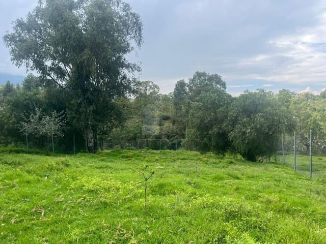 Terreno habitacional con construcción en venta en Tequexquinahuac, Texcoco, México.