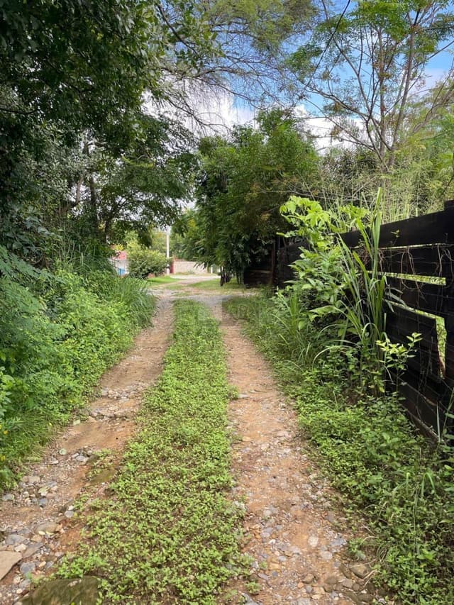 Quinta en venta en La Cascara Montemorelos Nuevo Leon Zona Sur Allende