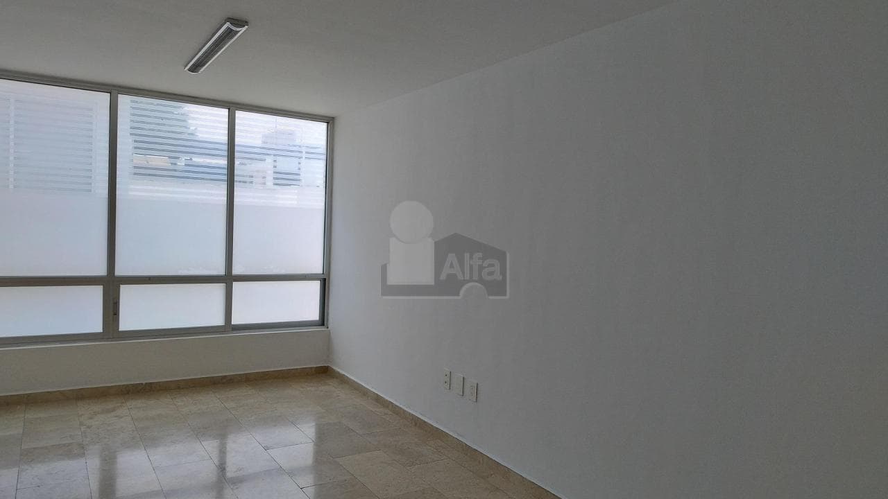 Fotos adicionales