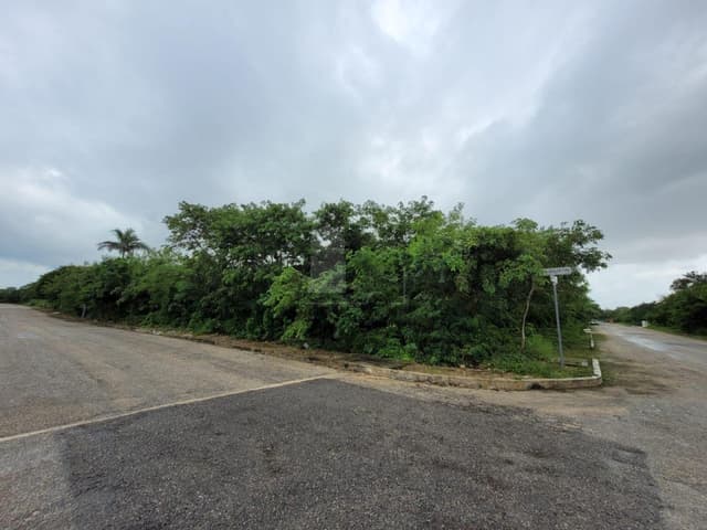 Terreno en Venta en Privada en Cholul, Mérida, Yucatán