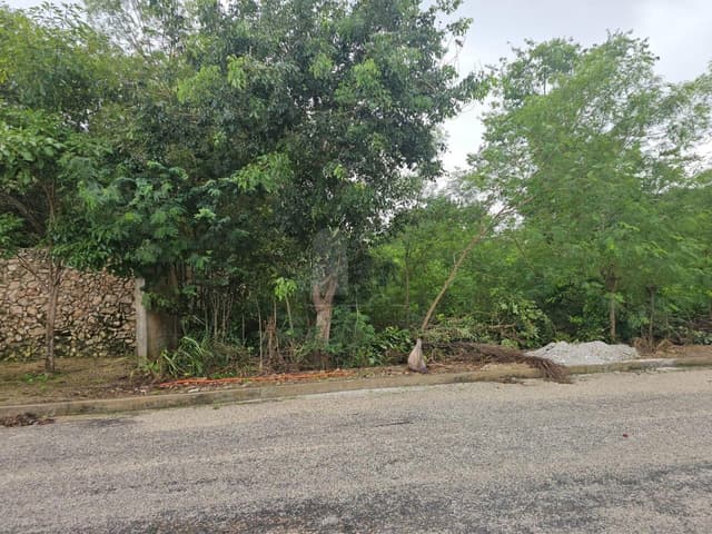 Terreno en Venta en Privada en Cholul, Mérida, Yucatán