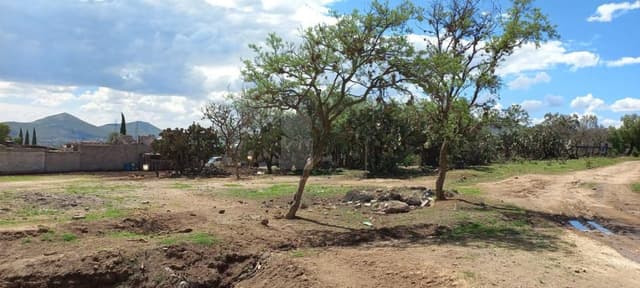 Terreno en Venta en Tepetlaoxtoc