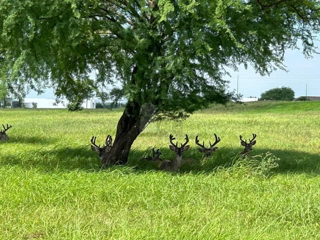 Departamento en Residencial Calidris es un complejo inmobiliario ubicado en el Club de Golf Las Aves