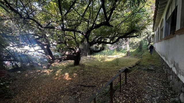 Terreno habitacional en venta en La Pradera, Cuernavaca, Morelos