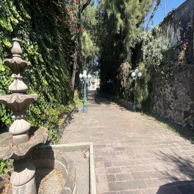 Casa en venta en Colonia Jardines del Pedregal, Alcaldia Alvaro Obregon, Ciudad de Mexico.