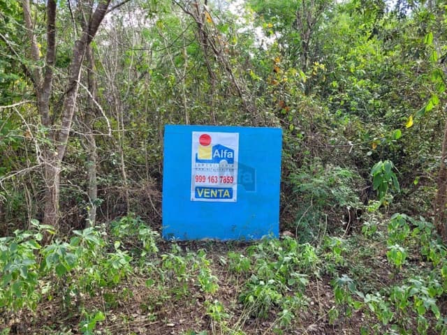 Terreno en venta en Tahdzibichen, Mérida, ideal para desarrollos