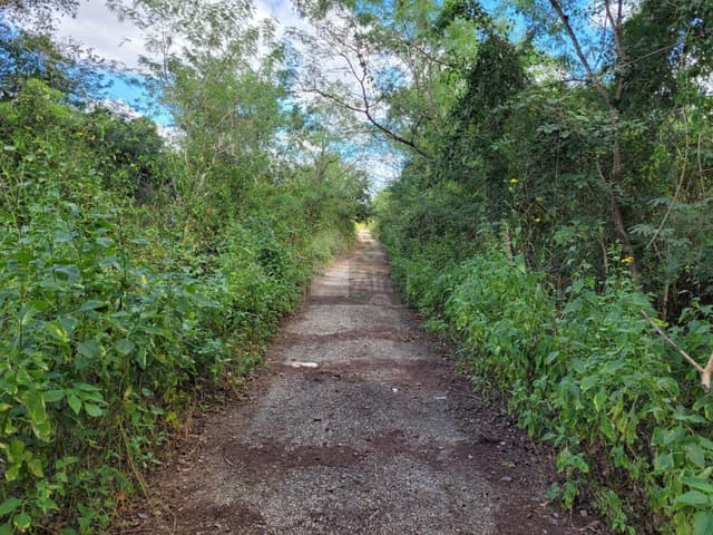 Terreno en Venta en Tahdzibichen, Mérida, Ideal para Desarrollos