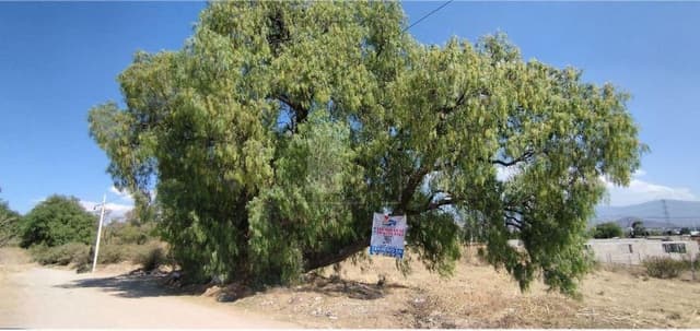 Terreno Habitacional en Venta.