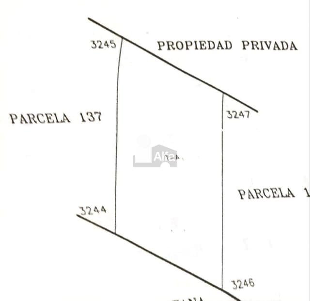 Terreno en venta  El Fraile, Montemorelos, Nuevo León.