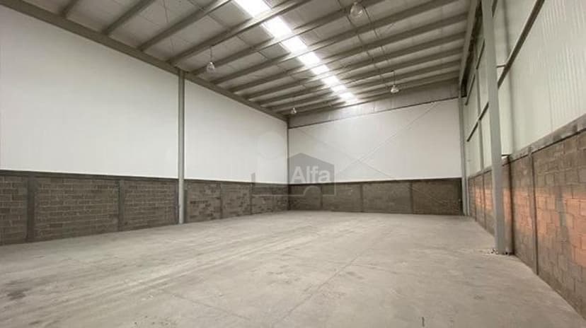 Gallery main