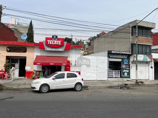 Locales comerciales Toluca Centro