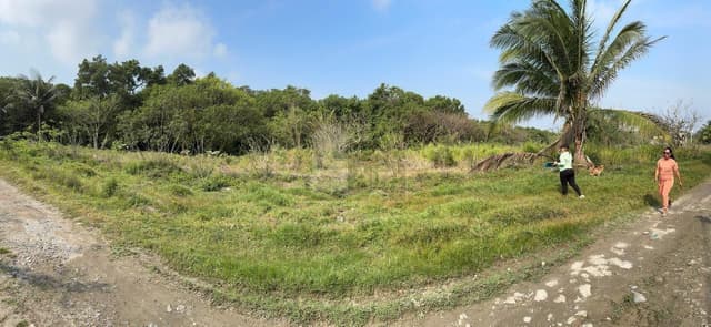 Terreno en Venta  con acceso a la laguna de Mandinga Veracruz