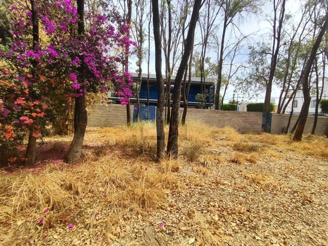 TERRENO EN VENTA EN EL CENTRO DEL PUEBLITO