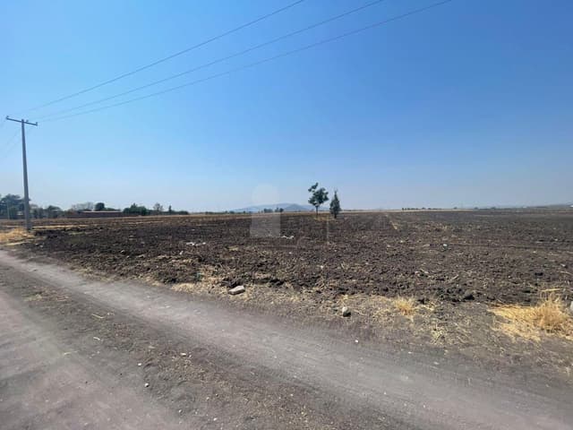 Terreno Agricola en Venta en Serrano, Irapuato, Gto.