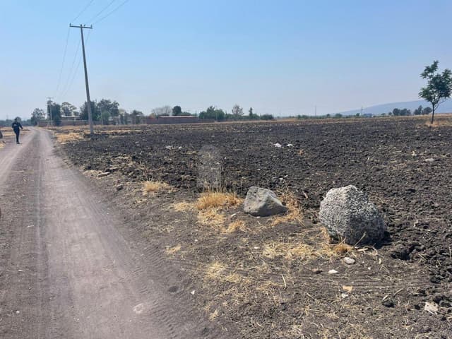 Terreno Agricola en Venta en Serrano, Irapuato, Gto.