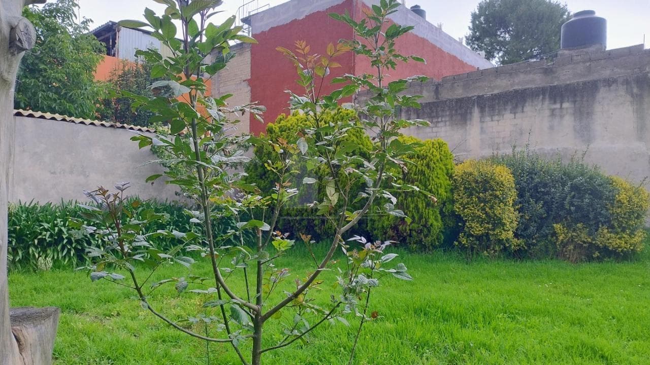 Fotos adicionales