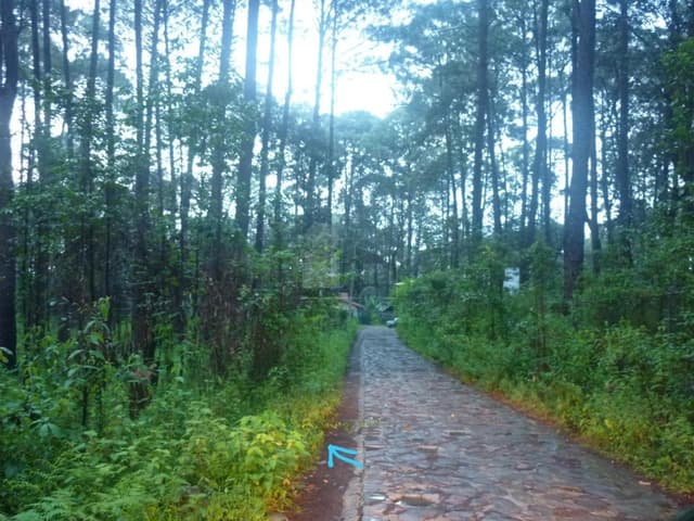 Terreno habitacional en venta en Avándaro, Valle de Bravo, México