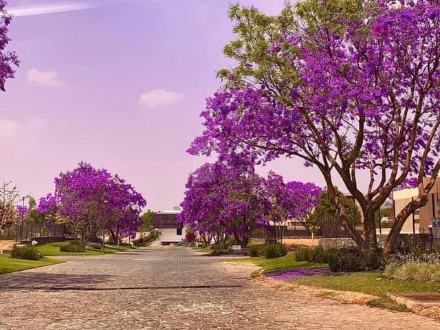 Terreno en Venta en Arauca 2, Zapopan, Jalisco