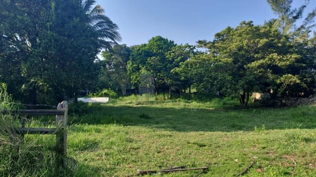 Terreno en Venta Antón Lizardo, Veracruz
