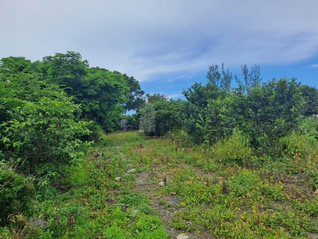 Terreno en Venta, La Aguada, Alvarado, Ver.