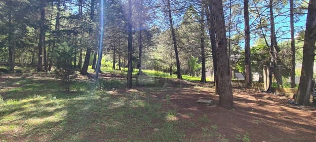 Terreno habitacional en venta en Corral de Piedra, San Cristóbal de las Casas, Chiapas