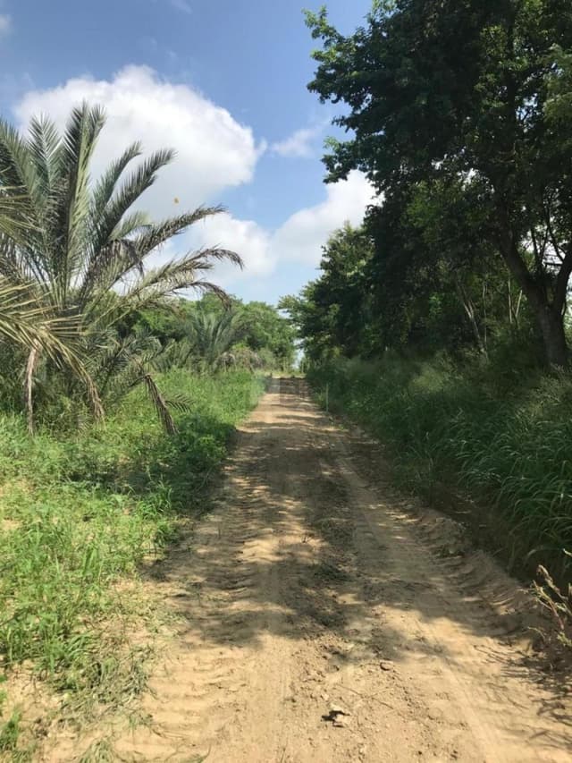 Terreno agrícola en venta en Loma Prieta, Montemorelos, Nuevo León
