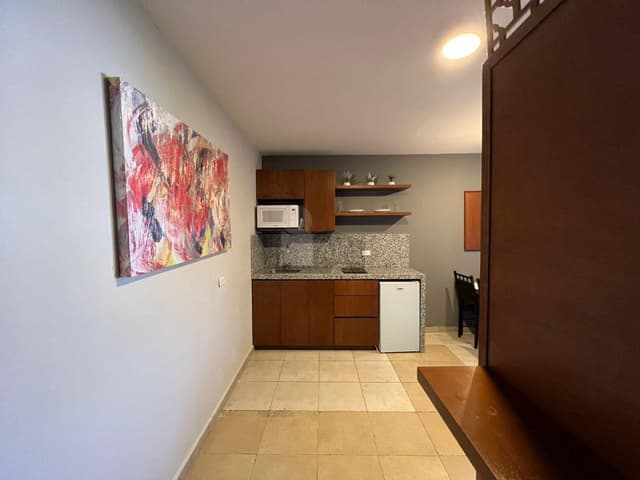 Loft en renta Distrito Tec Rincon de la Primavera Monterrey Nuevo León Zona Sur Amueblado