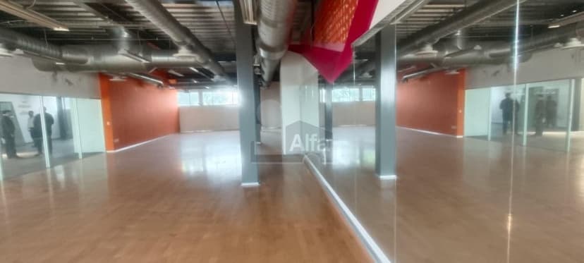 Gallery main