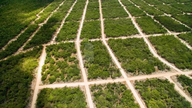 Terreno habitacional en venta en Chicxulub, Chicxulub Pueblo, Yucatán
