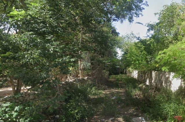 Terreno habitacional en Cholul, Mérida. Superficie de 2400 m2 (30m x 80m)