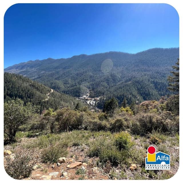 Terreno habitacional en venta en San Antonio de las Alazanas, Arteaga, Coahuila