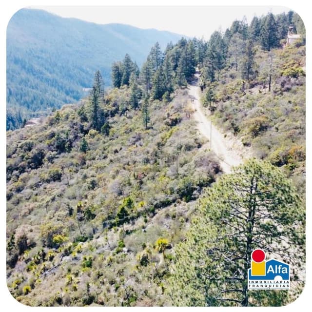 Terreno habitacional en venta en San Antonio de las Alazanas, Arteaga, Coahuila