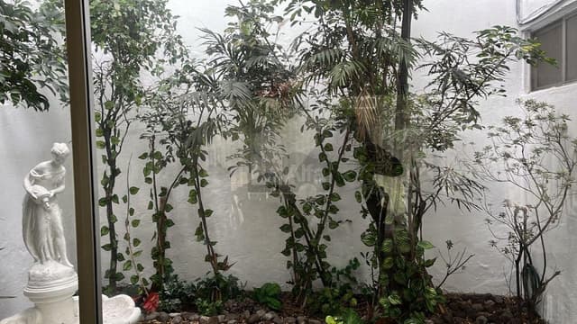 Casa sola en venta en Jardines del Pedregal, Álvaro Obregón, Ciudad de México