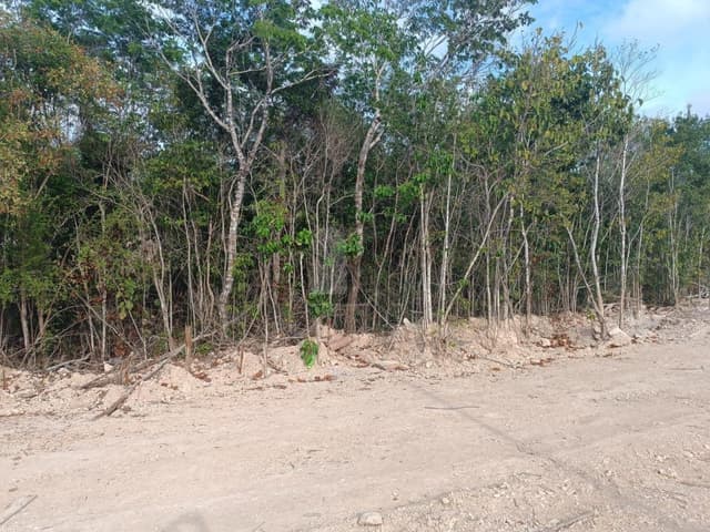 Terreno Comercial Venta Residencial Altai, Cancún