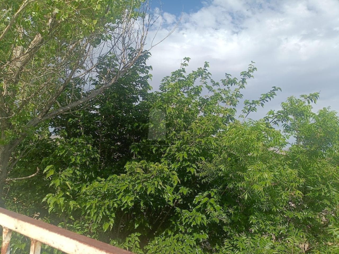 Fotos adicionales