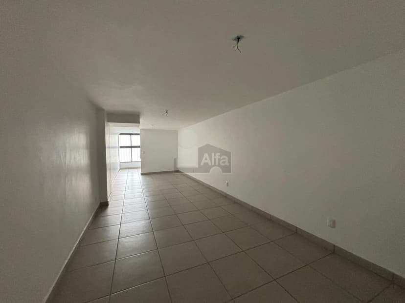 Gallery main