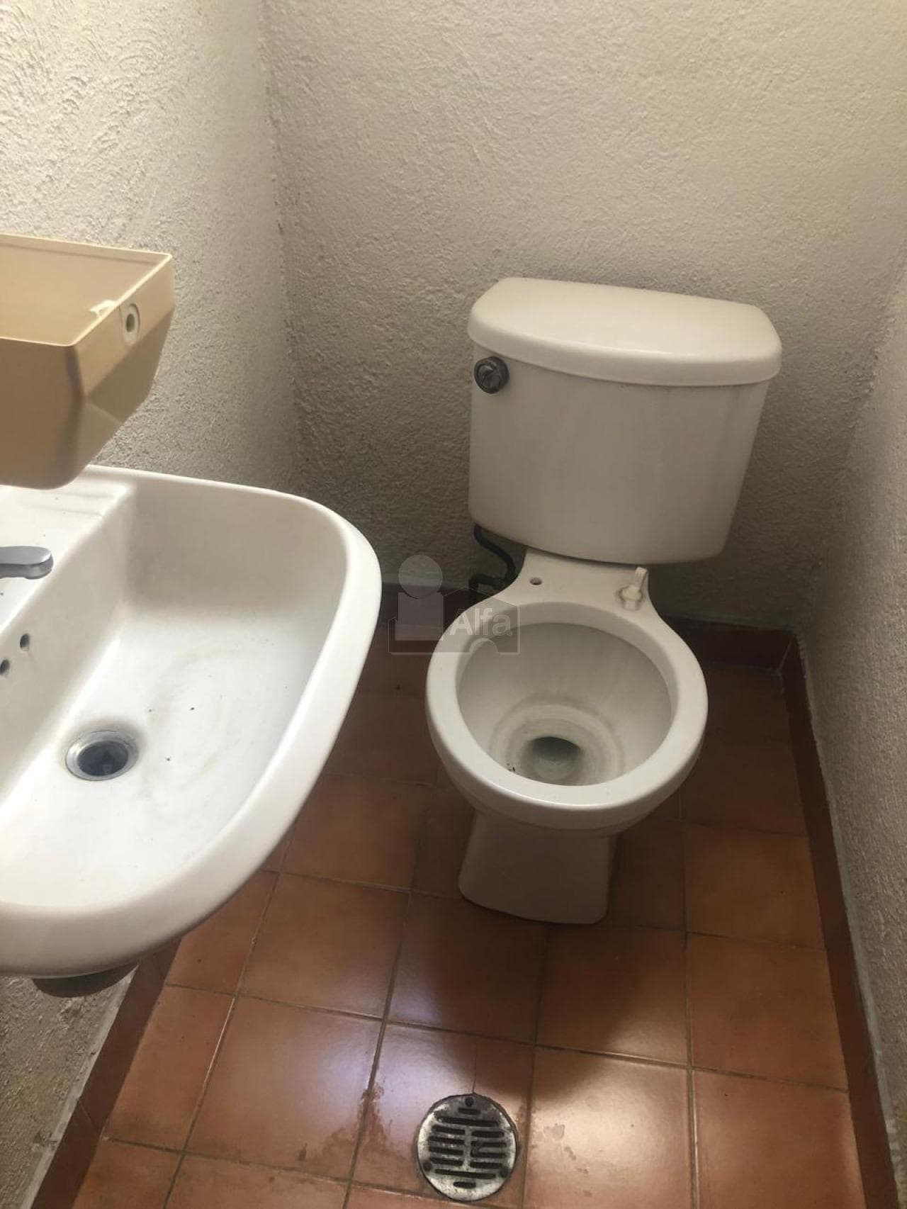 Fotos adicionales