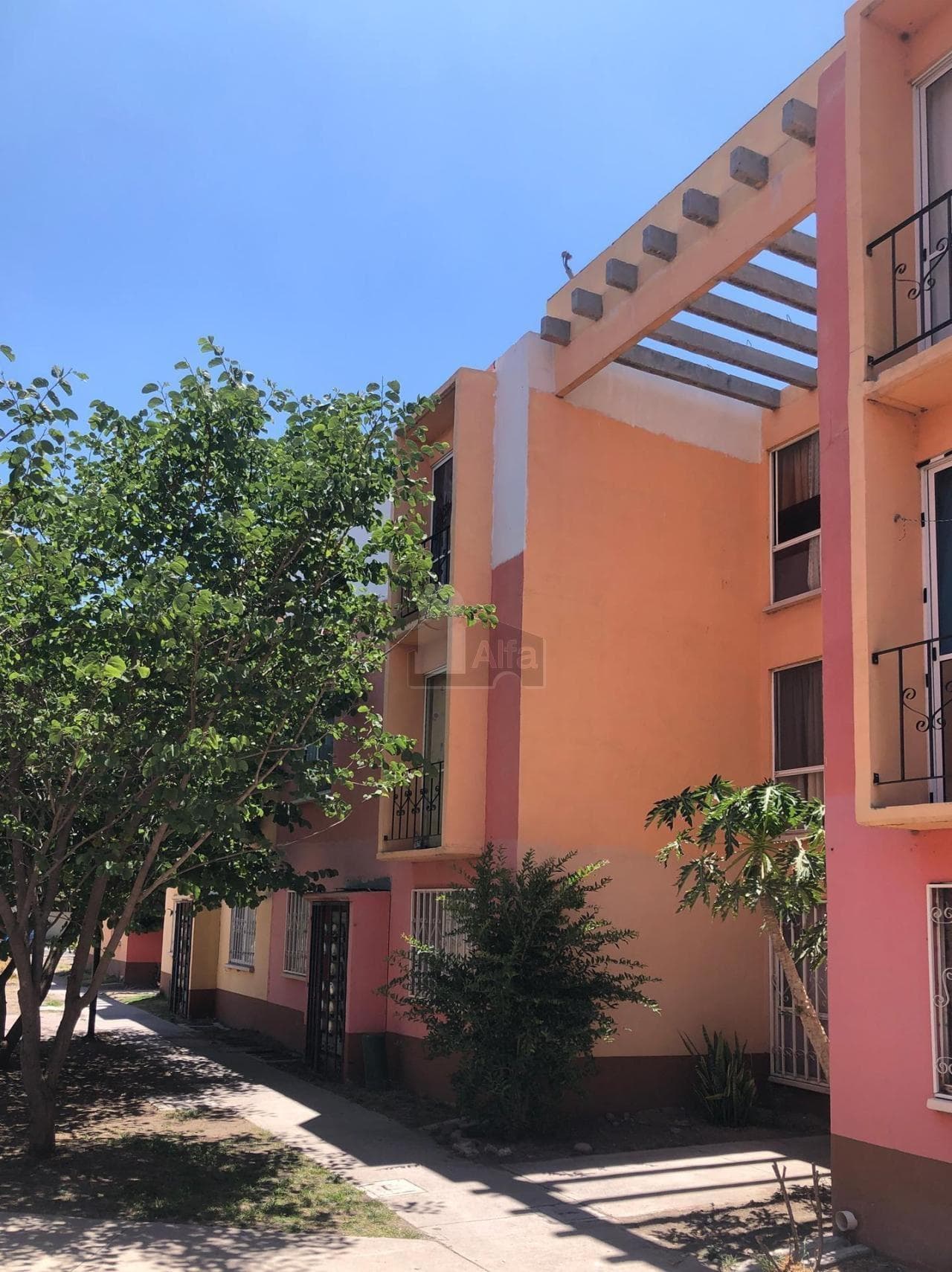 Fotos adicionales