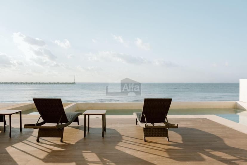 Gallery preview 3