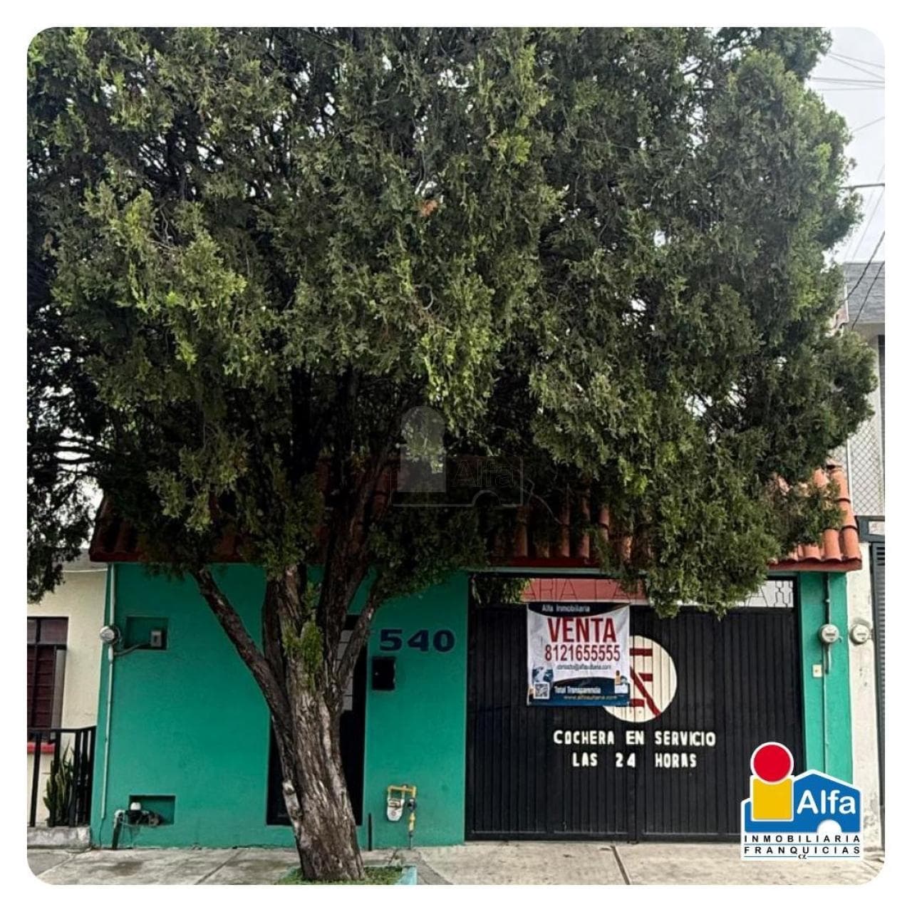 Fotos adicionales