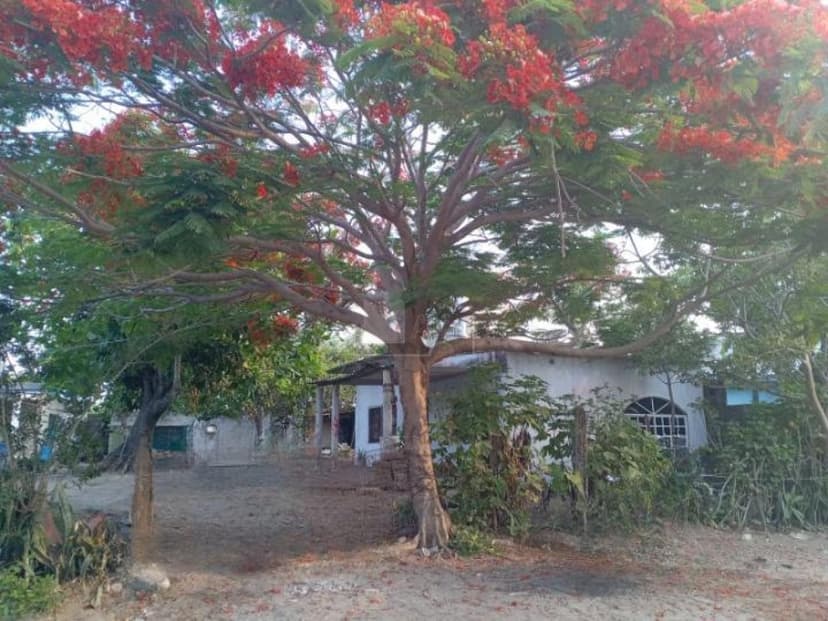 Gallery main